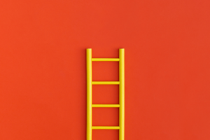 c-store supply chain reliability